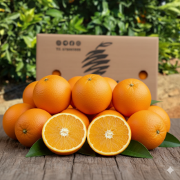 Naranjas de Mesa de Máxima Calidad (Caja de 10 kg)
