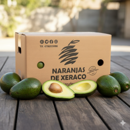 Aguacate Caja 3 kg