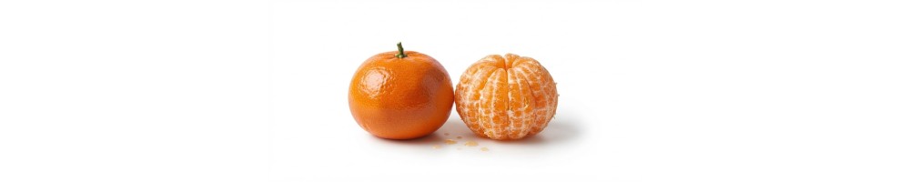 Mandarinas